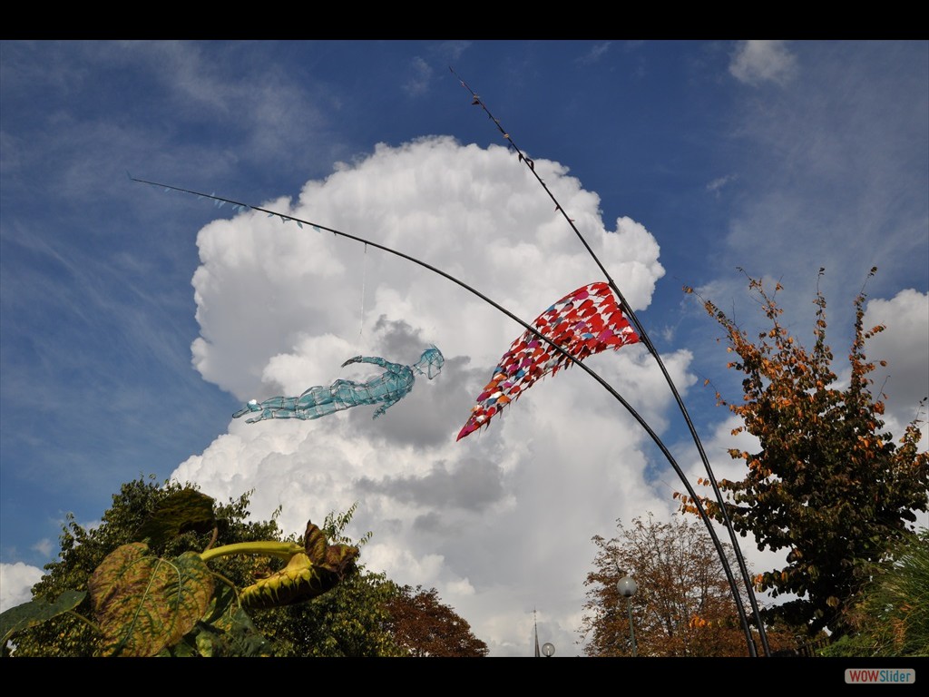 image slider