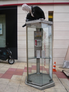 Rue Caroline, 2008